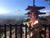 เที่ยวญี่ปุ่นด้วยตัวเอง ชมภูเขา ฟูจิ fuji